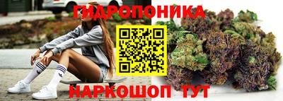 прущие крисы Кандалакша