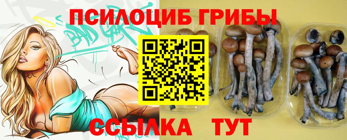 Галлюциногенные грибы мицелий Набережные Челны