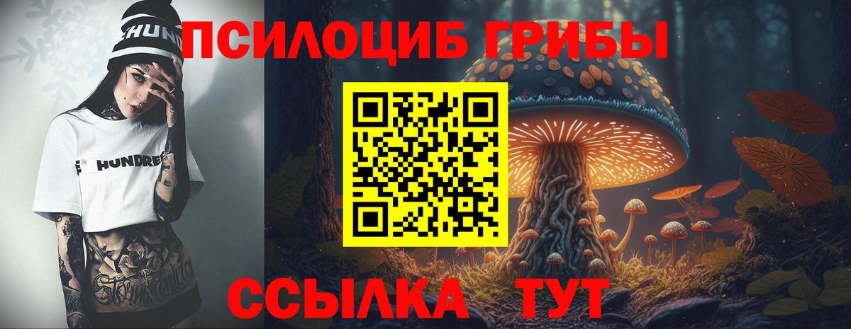 Набережные Челны  Галлюциногенные грибы мицелий  Псилоцибиновые грибы GOLDEN TEACHER  Вход с VPN 